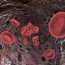 건강나라헬스 이미지