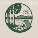 아트벨리자작나무 | 경기도카라반캠핑장 청계호수 자작나무 숲 캠핑장 서울근교카라반 오토캠핑장 위치 가격 할인 꿀팁