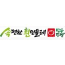 흰민들레만두