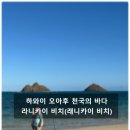 하와이 오아후 스노클링 명소 - 라니카이 비치(천국의 바다) 후기