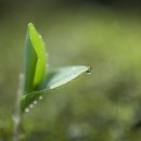 베스트힐링의원 이미지