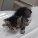 내당119안전센터 이미지