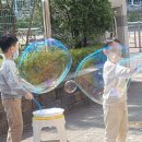 반석초등학교(병설) | 대전 초등학교병설유치원 버블벌룬쇼 야외버블체험학습 ㅣ벤탤런트