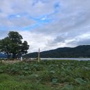 시티원부동산중개 이미지