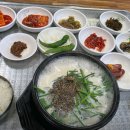 정선사북시장 티스토리