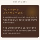 [노원 아이랑 맛집] 공릉역 미랑샤브, 놀이방 보이는 식당 (엄마 솔직 후기)