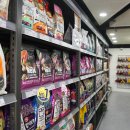 야옹 멍멍 이미지