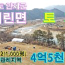 기린면 토지 3,306㎡(1,000평) 4억 5천만원 이미지