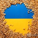 EU, '우크라 곡물' 수입빗장에 해법 고심…지원금 추가투입 검토 이미지