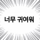 세라 유치원 이미지