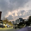 스튜디오시미