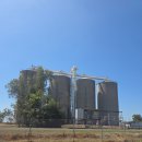 휘모리 | 억까 휘모리장반 호주 브리즈번 워홀 일기 26주차 [공장첫출근/베이킹]