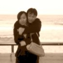 피그월드 이미지