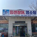 힘센 민물장어 이미지