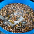 해품은농장 이미지