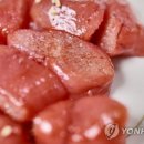 젓갈MK 네이버블로그