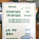 정원돼지국밥 | 울산 삼산동 맛집 정원국밥, 국물이 깔끔한 맑은 돼지곰탕(국밥) 청양고추 꿀팁 후기