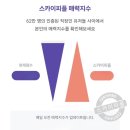 스카이 | 스카이피플 후기, 20대 중반 여자의 스카이피플과 플롯 실사용 비교