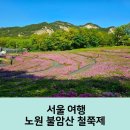 카페24아이앤지(상계) | 불암산 철쭉제 개화 현황 대중교통으로 다녀온 솔직 후기