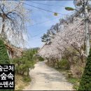 별헤는 펜션 이미지