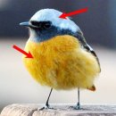 은평역사한옥박물관 이미지