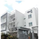 국수바라기 이미지
