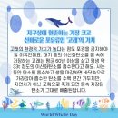 (주)신비포유 이미지