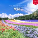 사계절 이미지