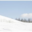 대관령목장 이미지