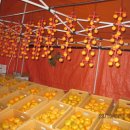 재선농장 이미지