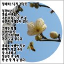 매화1 이미지