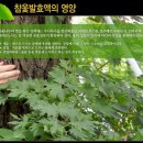 아산약선마을 영농조합법인 이미지