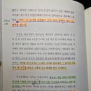 초록효소