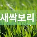 농업회사법인(주)모이식품