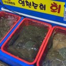 신소라3번 네이버블로그