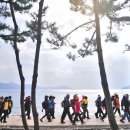 남해-231 이미지