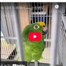 순창 앵무새팜 이미지