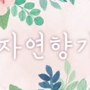 자연향기 이미지