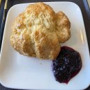 카페유나 | 충북카페 유나의정원 재방문 후기 블루베리스무디+스콘 조합 최고