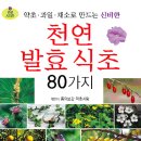 약초사랑동의보감 - 중랑구 겸재로50길 33 | 약초사랑동의보감