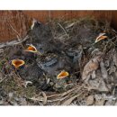 은경농장 이미지