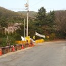최씨농원