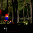 화성행궁 이미지