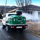 백조농장(1) 이미지