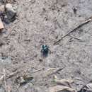 대현마을회관 이미지