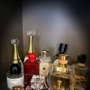 메종드퍼피 이미지