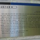 김흥근 선생 묘 이미지