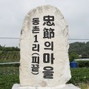 동촌1리 이미지