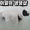 별이알이 댕댕샵 이미지