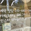 라그라스 그루밍 이미지
